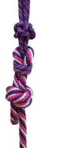 Professional's Choice Naruriimusetti