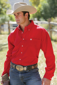 Cinch Paita