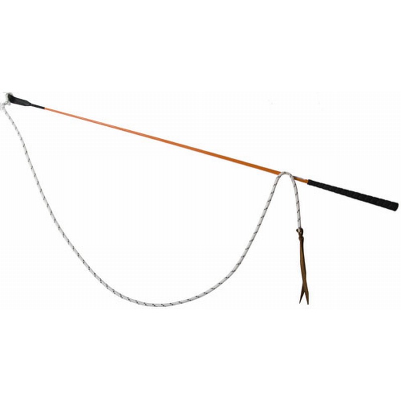 Trainingsstick