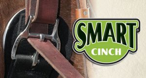 Weaver Smart Cinch