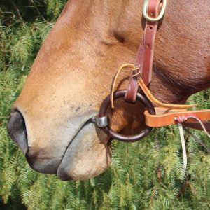 PC Bob Avila Signature Snaffle Bit