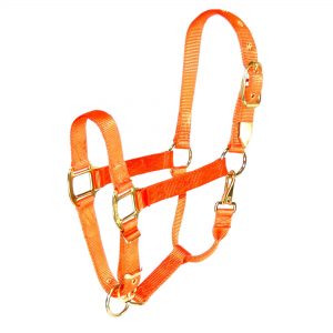 Hamilton Deluxe riimu mango orange