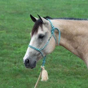 Naruriimu Weaver Silvertip No. 95 Rope Halter