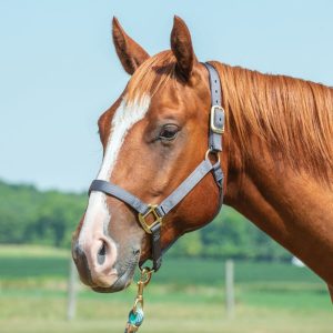 Riimu Weaver OriginalNon-Adjustable Halter