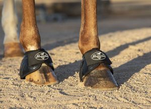 Professional's Choice Kaviosuojat Spartan II Bell Boots