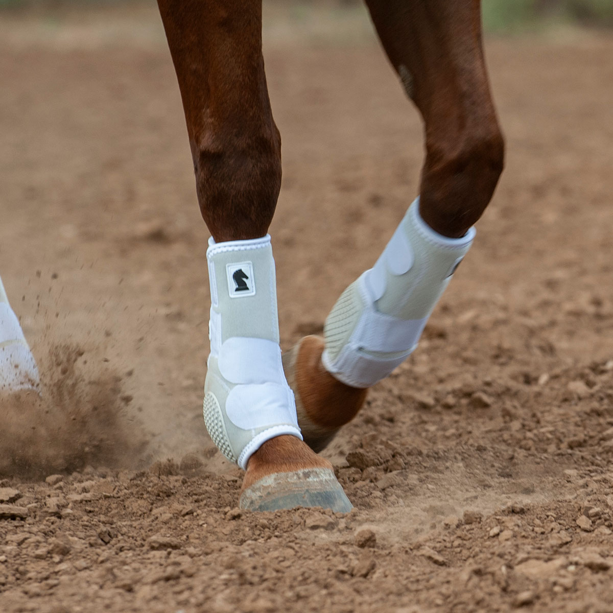 Classic Equine jalkasuojat Flexion by Legacy