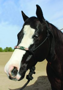 Professional's Choice Beaded Rope Halter naruriimusetti