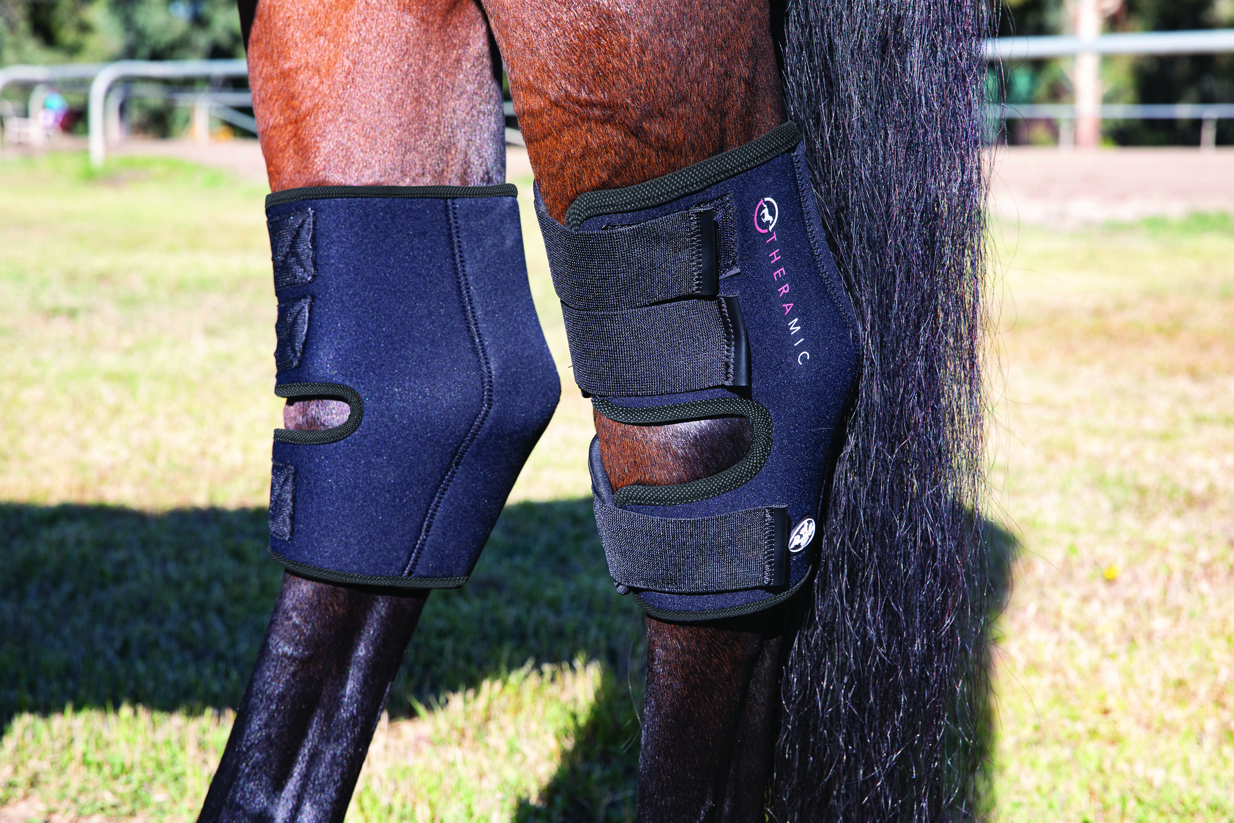 Professional's Choice Theramic Hock Boot kinnersuojat