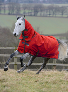 Bucas Freedom Turnout Light Full Neck ulkoloimi kaulakappaleella