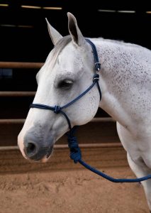 Professional's Choice Easy On Rope Halter naruriimusetti