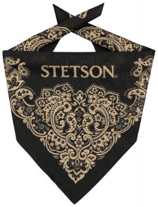 Bandana Stetson Paisley