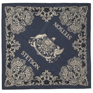 Bandana Stetson Paisley