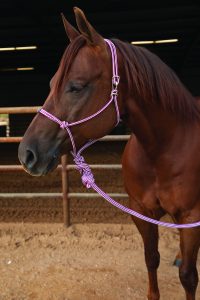 Professional's Choice Easy On Rope Halter naruriimusetti