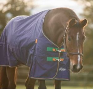 Shires Highlander Original Turnout Rug 50g ulkoloimi