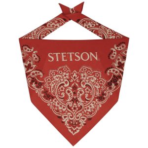 Bandana Stetson Paisley