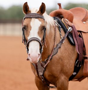 Suitset PC Chocolate Confection Headstall