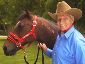 Koulutusriimu Monty Roberts Dually Halter