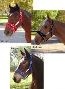 Koulutusriimu Monty Roberts Dually Halter