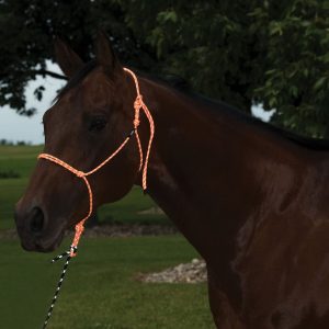 Naruriimu Weaver Silvertip Reflective Rope Halter