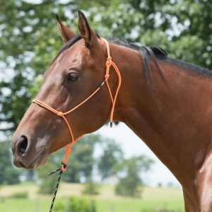 Naruriimu Weaver Silvertip Reflective Rope Halter