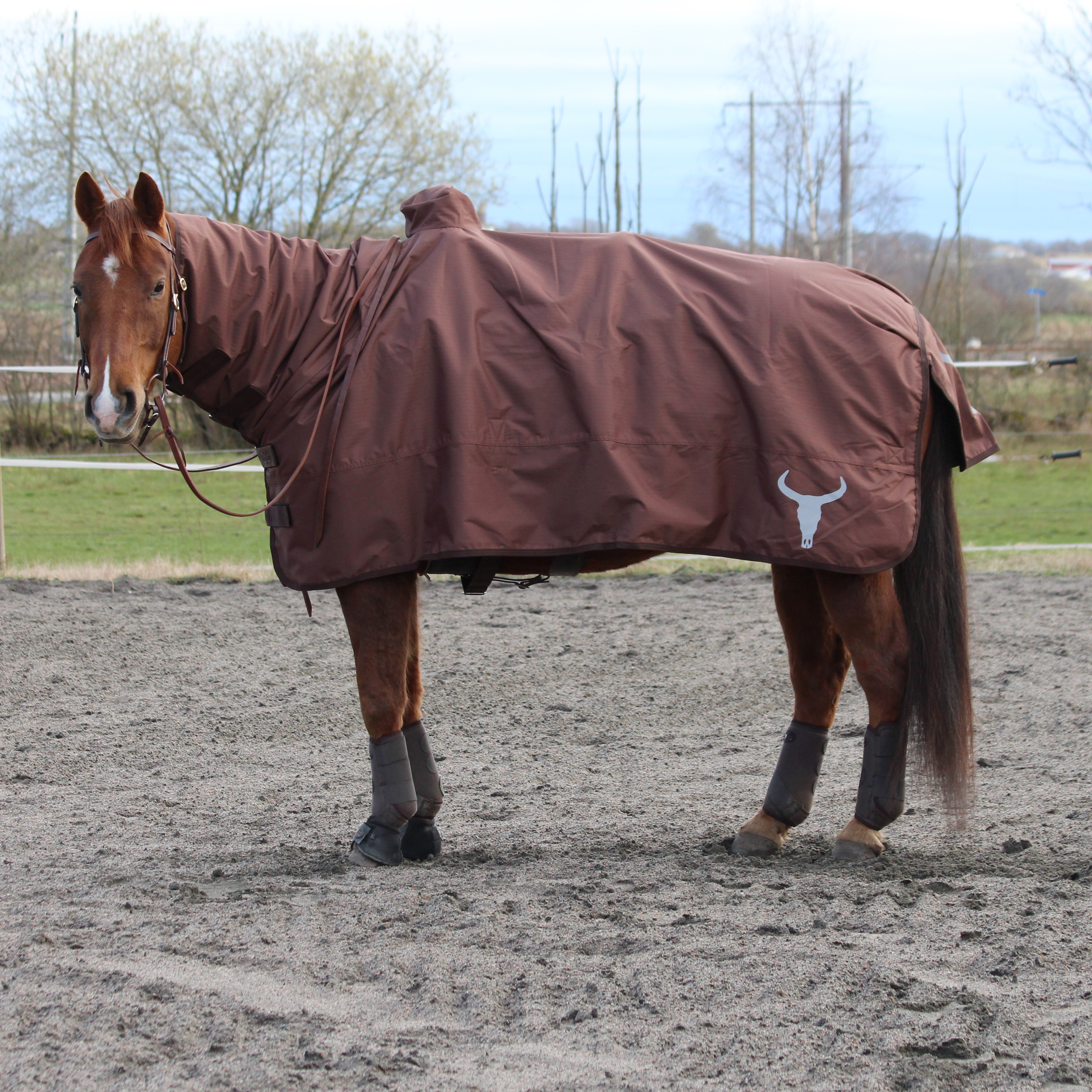 All That Protection Rug