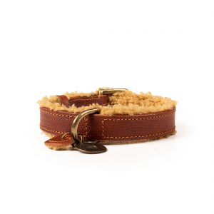 DWAM Koiran kaulapanta Teddy 2,5 cm