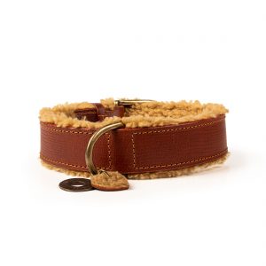 DWAM Koiran kaulapanta Teddy 4 cm