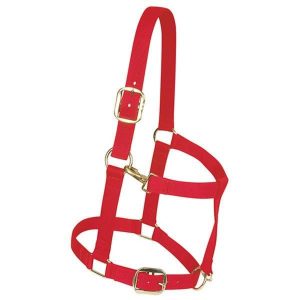 Riimu Weaver Original Adjustable Halter Draft Horse