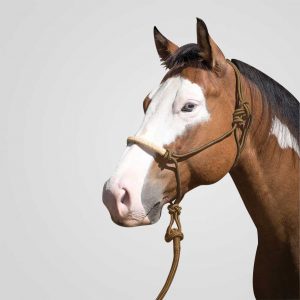 Naruriimu & köysisetti Lami-Cell Phoenix Rope halter with lead 3 m