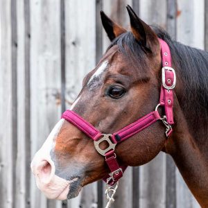 Riimu & köysisetti Lami-Cell Montana halter with lead rope