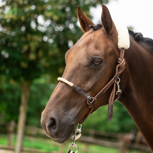 Juoksutusriimu Lami-Cell Lunging Halter