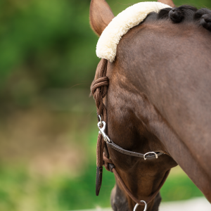 Juoksutusriimu Lami-Cell Lunging Halter