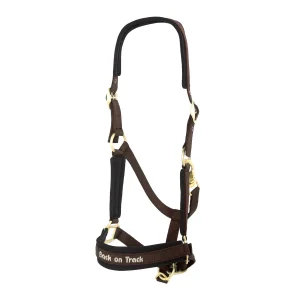 Riimu Back on Track Werano ponille