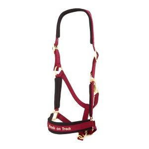 Riimu Back on Track Werano ponille