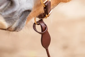 Köysi EDIX Kaily Leather Lead 2 m