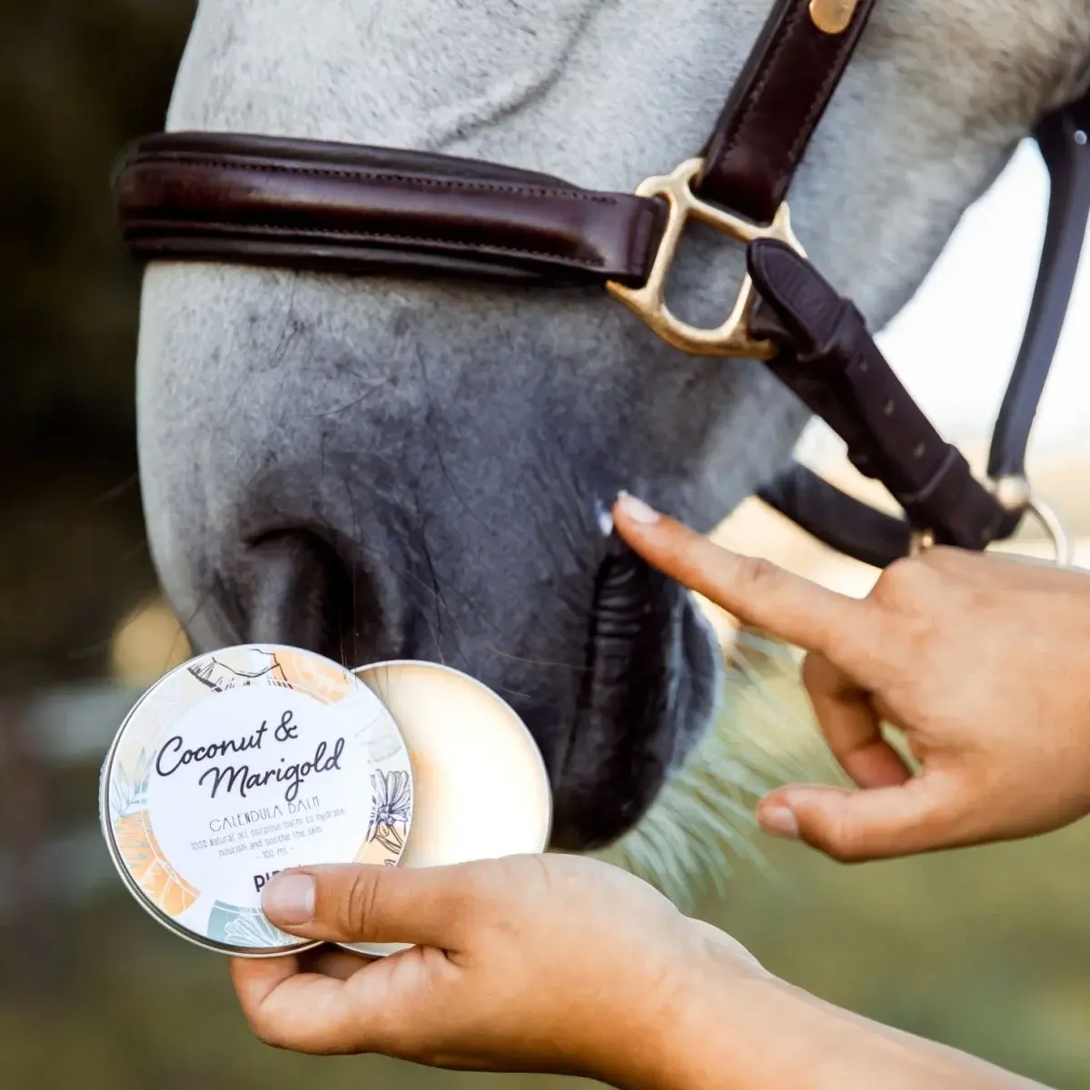PIPPA Coconut & Marigold Calendula Balm hoitovoide 30ml